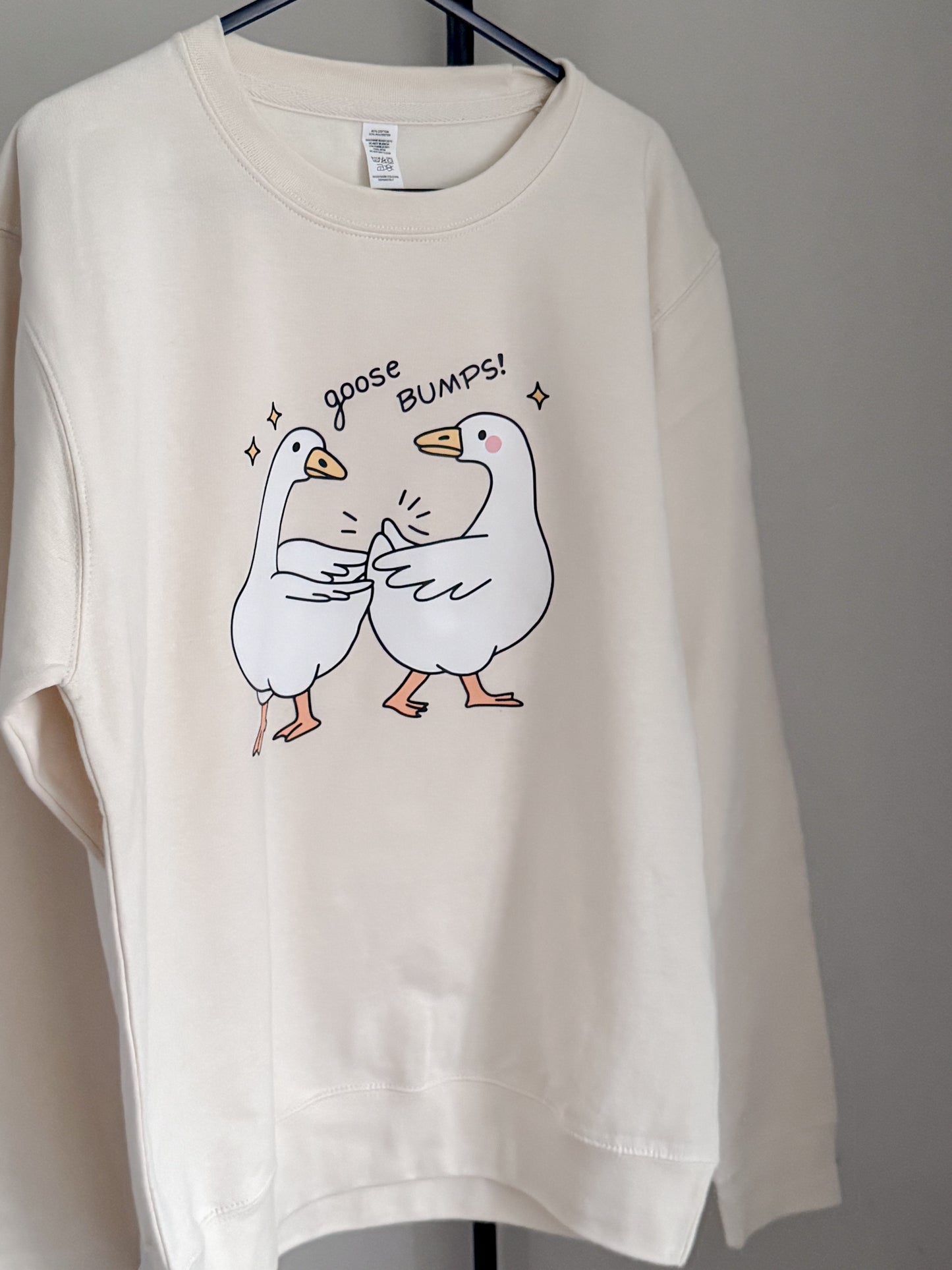 Silly Goose Goosebumps Jumper and TShirt